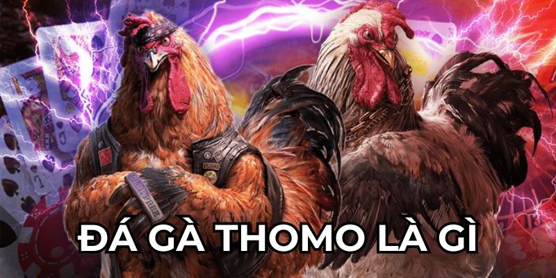 Đá Gà Thomo Là Gì? Bí Quyết Thắng Lớn Tại Nhà Cái I9BET