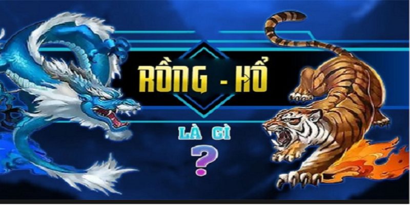 Rồng Hổ Là Gì: Bật Mí Cách Chơi Từ A Đến Z Cho Người Mới